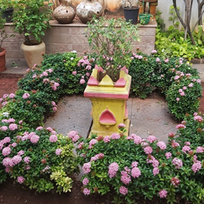 Garden Maintenance in Chennai