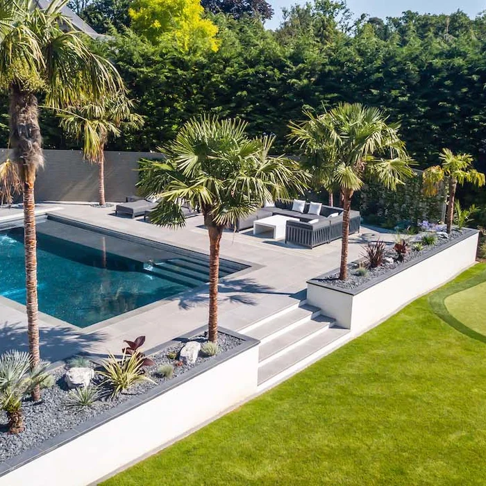 Flowering Plants - Chennai