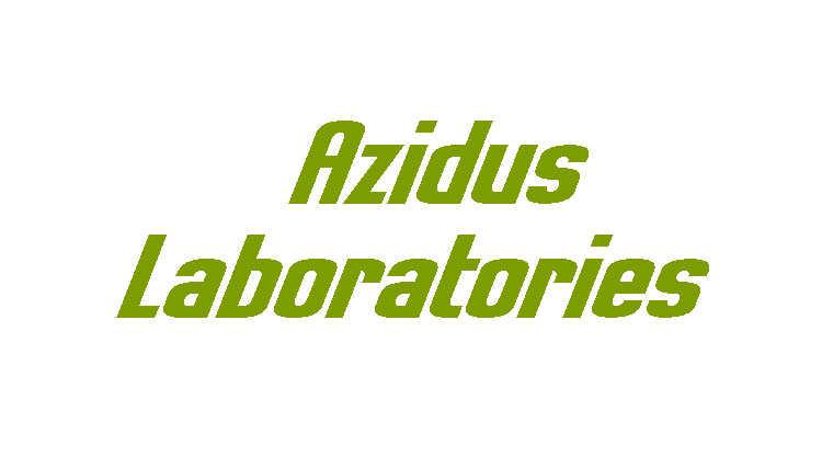 Garden Path And Walkway Pavers For Landscape In Chennai