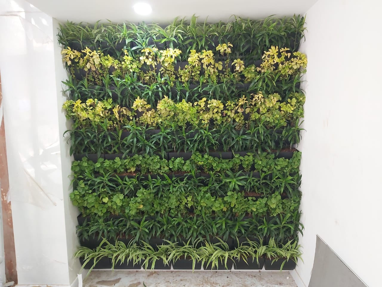 Top 10 Landscaping Services in Chennai