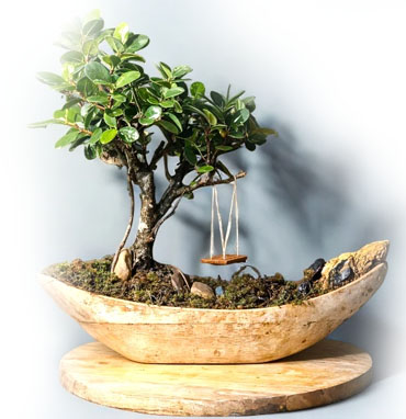 Red Soil With Cow Dung Manufacturer From Chennai